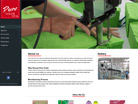 Corporate website design for Pure Color