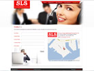 Corporate website design for Sin Lian Seng Engineering Services Pte Ltd 
