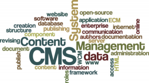 content management sysyem