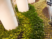 Project photography for Consis VGS