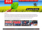 Corporate website design for Sin Lian Seng Engineering Services Pte Ltd 