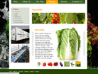 Corporate website design for thygrace